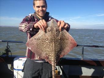 5 lb Thornback Ray by Lewis C