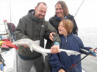 4 lb 5 oz Starry Smooth-hound by Young Frank