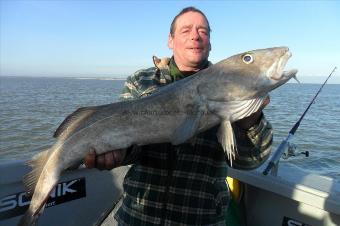 15 lb 7 oz Cod by Steven