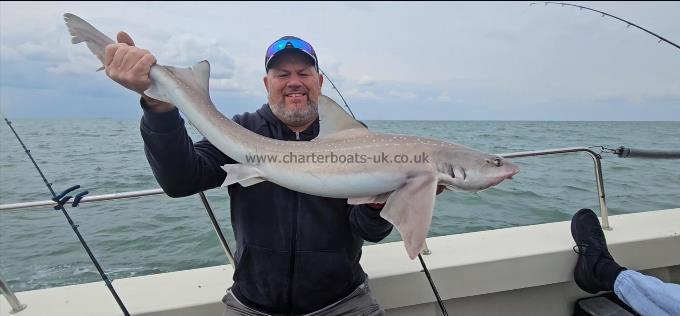 12 lb 8 oz Starry Smooth-hound by Steve