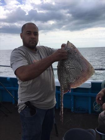 12 lb Thornback Ray by Alloysius Bloomfield