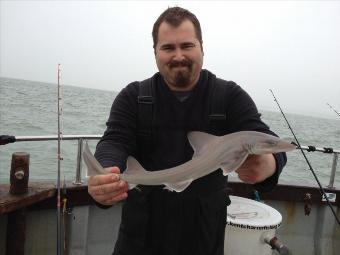 2 lb 4 oz Smooth-hound (Common) by Marc the Sharkhunter
