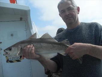 3 lb Pollock by Unknown