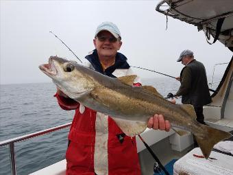 13 lb 3 oz Pollock by Derek