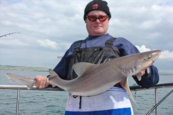 13 lb Starry Smooth-hound by Bob the Fly