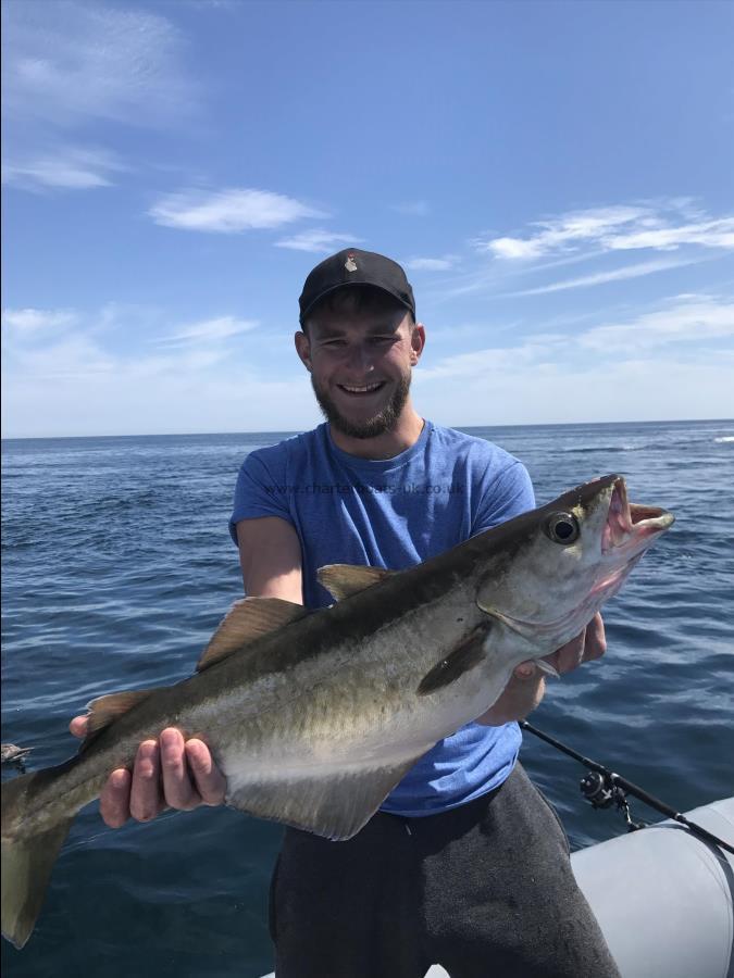 7 lb 8 oz Pollock by Unknown