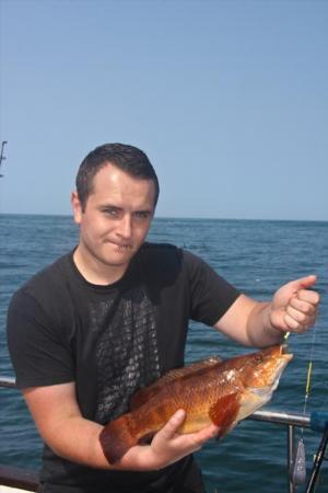 2 lb 8 oz Ballan Wrasse by Dave