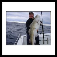 37 lb Cod by Unknown