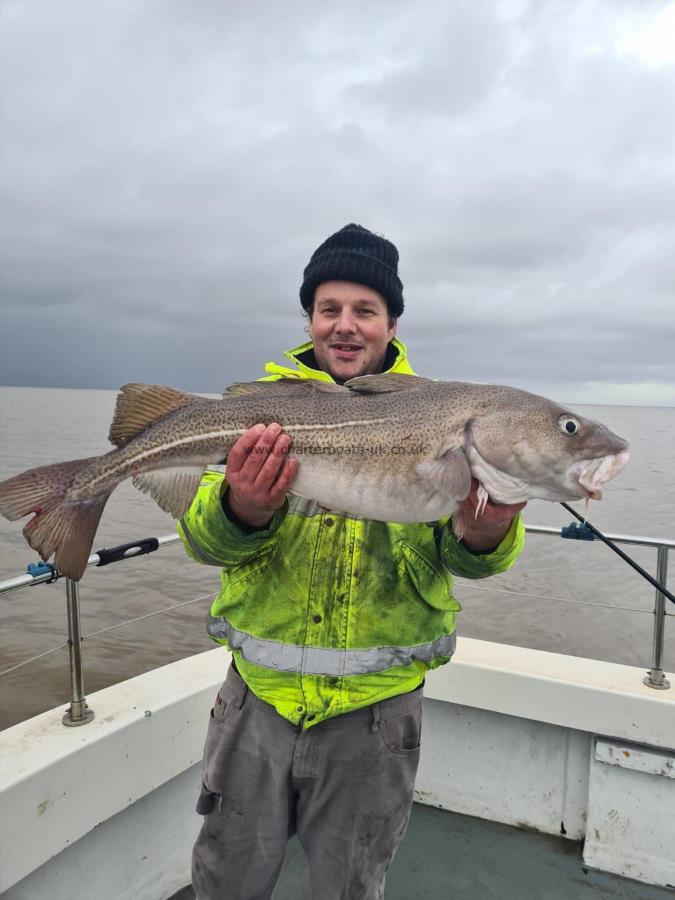 15 lb 11 oz Cod by Unknown