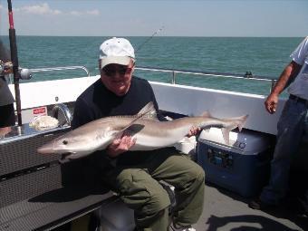 36 lb Tope by Unknown