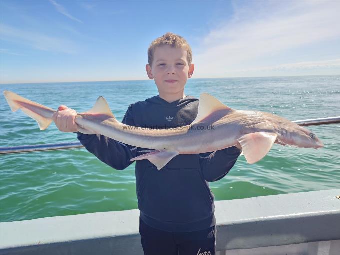 8 lb Smooth-hound by Jamie