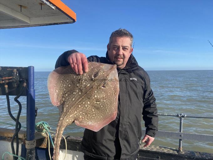 8 lb Thornback Ray by Unknown