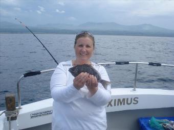 1 lb 10 oz Black Sea Bream by Siaron Jones