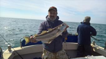 11 lb Pollock by Stephen Wake