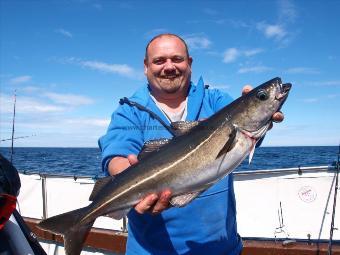 6 lb Coalfish (Coley/Saithe) by Unknown