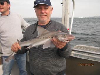 4 lb Starry Smooth-hound by Unknown
