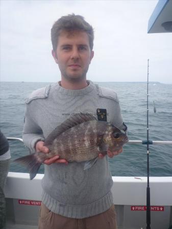 4 lb Black Sea Bream by Unknown