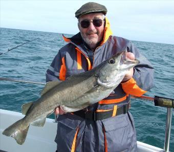 12 lb Pollock by Bernard Singleton