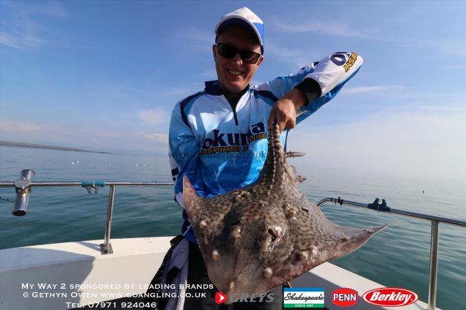 7 lb Thornback Ray by Mei