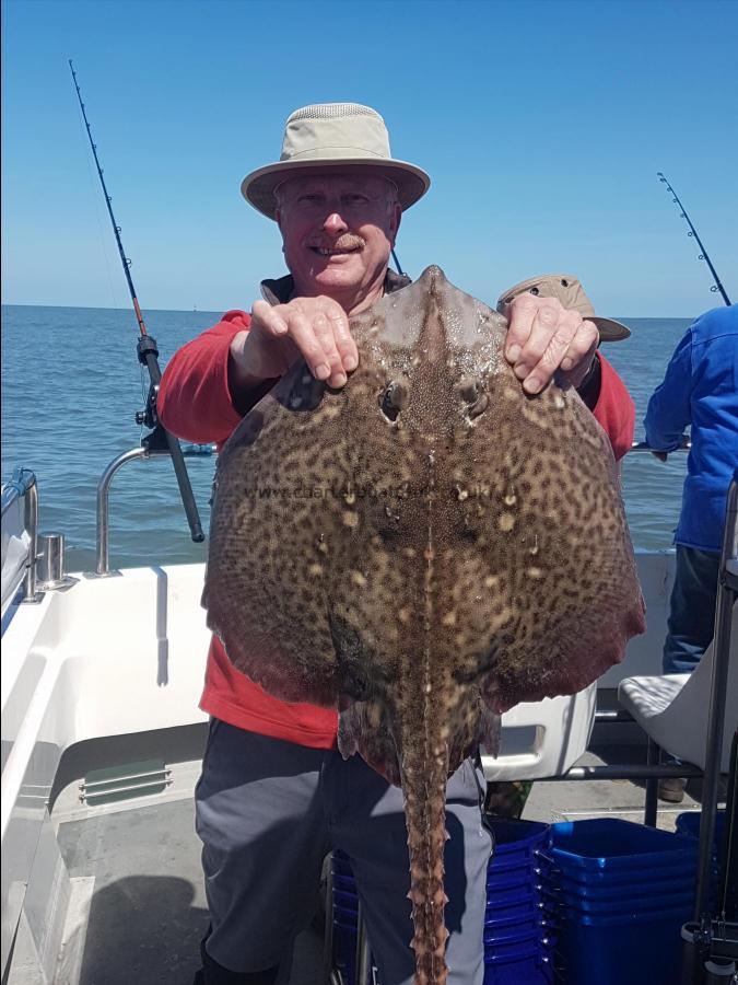 8 lb Thornback Ray by Jeff Ball