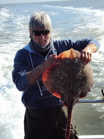 11 lb 2 oz Thornback Ray by Brian