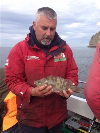 1 lb 10 oz Ballan Wrasse by Jon