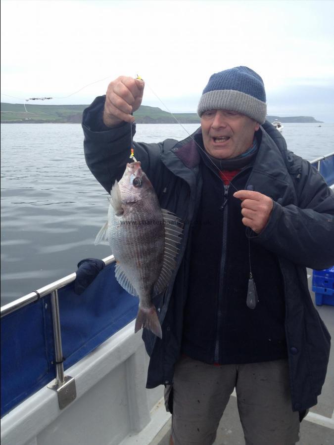 2 lb 8 oz Black Sea Bream by Dans crew