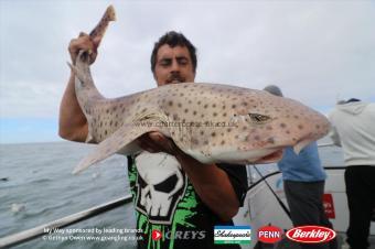 8 lb Bull Huss by Dave