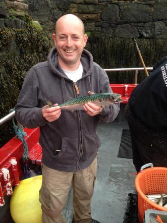 1 lb 8 oz Mackerel by paul