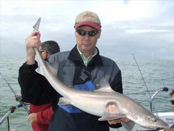 10 lb 2 oz Smooth-hound by stuart