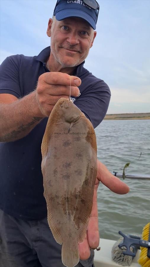 1 lb 4 oz Dover Sole by Unknown