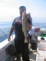 8 lb Cod by Unknown