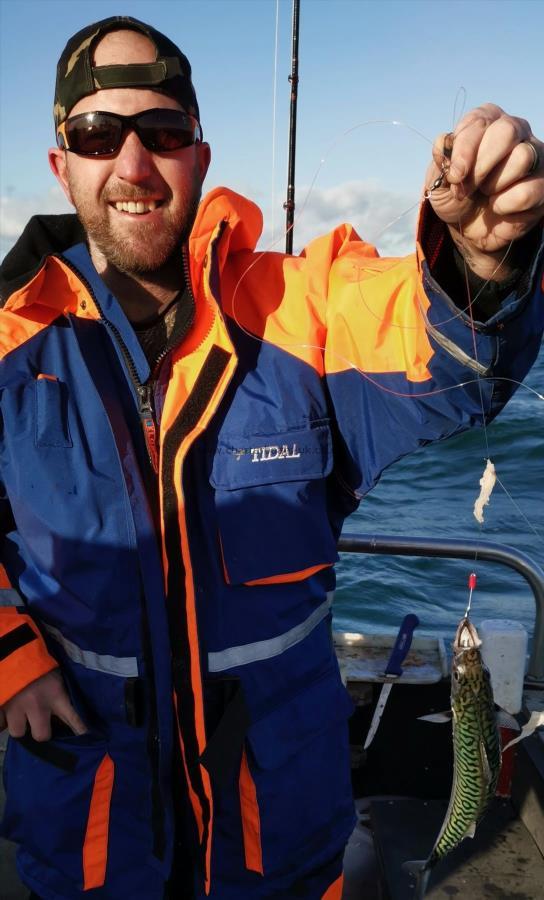 1 lb 8 oz Mackerel by Unknown