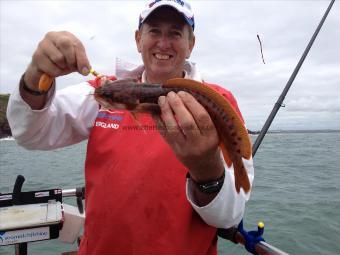 1 lb Three Bearded Rockling by Steve B