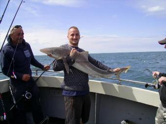 35 lb Tope by Bangor Boys