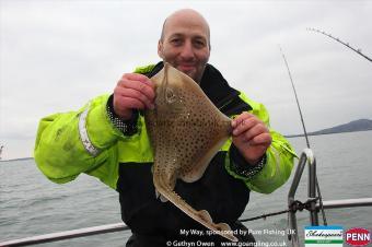 2 lb Spotted Ray by Minns