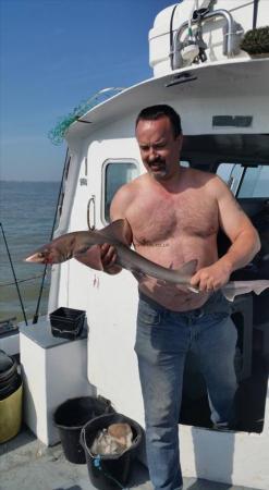 7 lb 5 oz Smooth-hound by Mark