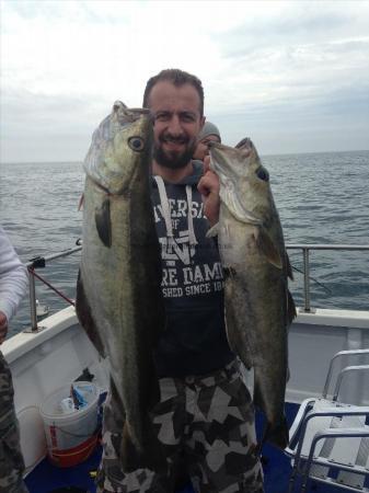 14 lb 6 oz Pollock by Shakespeare