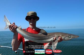 15 lb Tope by Ste