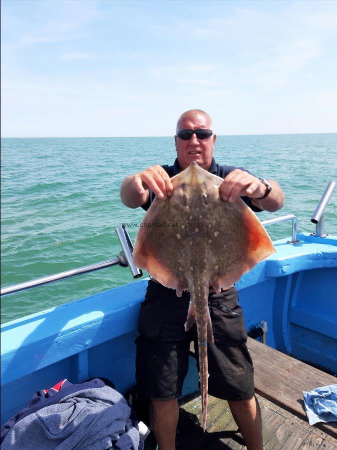 7 lb Thornback Ray by Bill