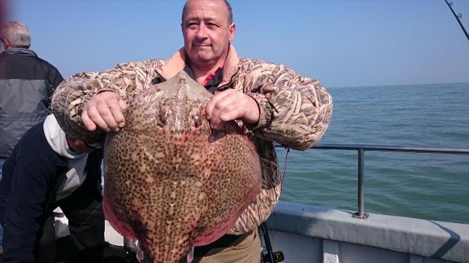 13 lb 5 oz Thornback Ray by John from Kent