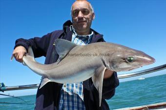 16 lb Starry Smooth-hound by Nigel Cape