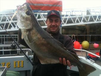 14 lb 8 oz Pollock by Adrian