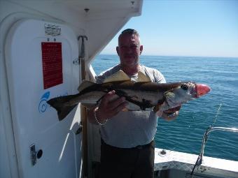 9 lb Pollock by Graeme Bealing