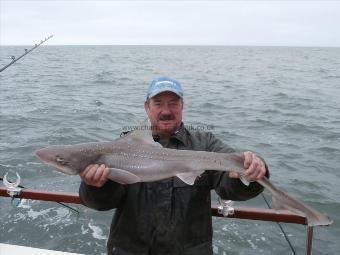 12 lb 3 oz Starry Smooth-hound by John Bruton