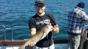 4 lb 10 oz Cod by Unknown