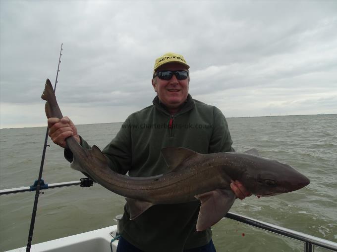 2 oz Smooth-hound by Unknown