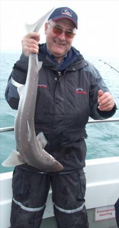 12 lb 8 oz Spurdog by Trevor Lockyer