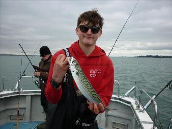 1 lb 12 oz Mackerel by Toby