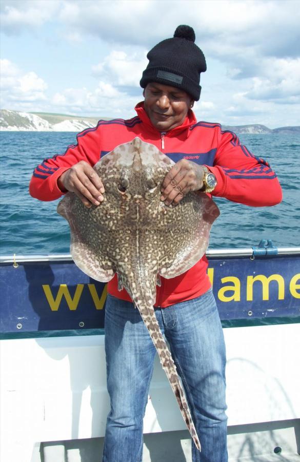 11 lb 8 oz Thornback Ray by Troy Louis